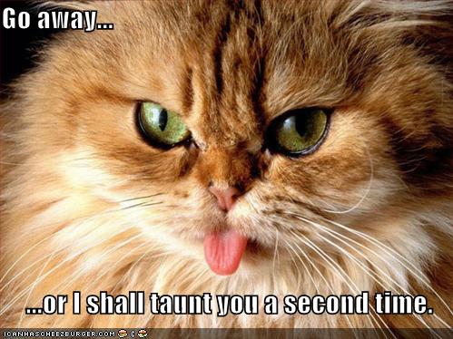 funny-pictures-orange-cat-tongue-taunts.jpg